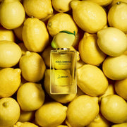dolce & gabbana fruit collection lemon eau de toilette