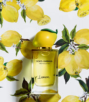 dolce & gabbana fruit collection lemon eau de toilette